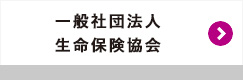 一般社団法人生命保険協会